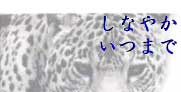 n[u͍܁@ubNEKUO@C