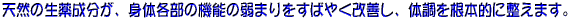j̑̒𐮂