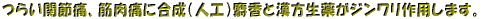 ݜlhp̍pP