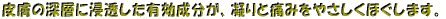 ݜlhp̍pQ