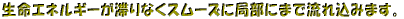ݜlhp̍pR