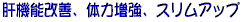 ̋@\PA̗͑AXAbv